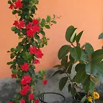 Agora B&B
