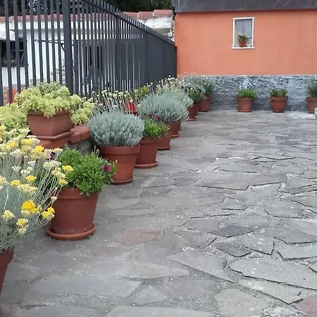 Agora