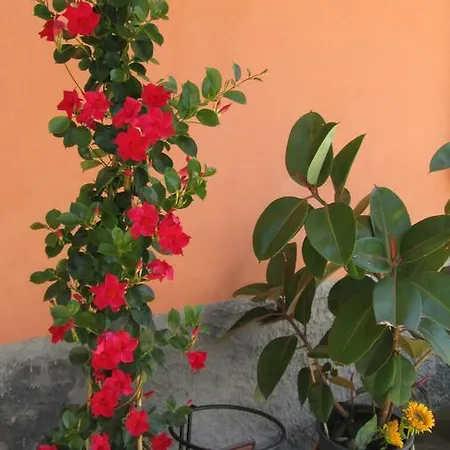 Agora B&B