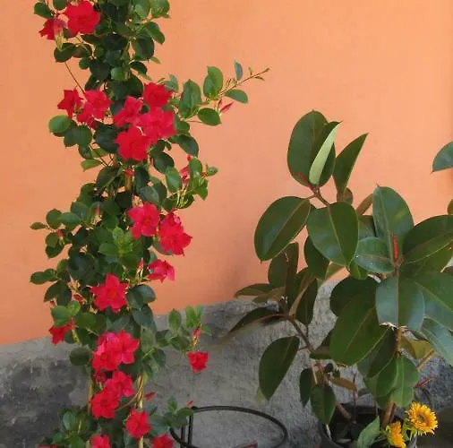 Agora לינה וארוחת בוקר